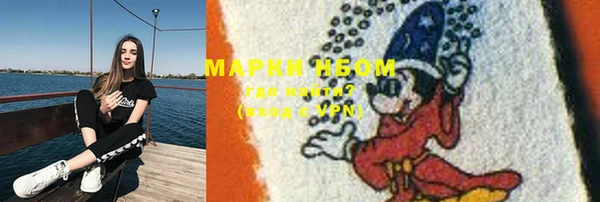 Альфа ПВП Осинники