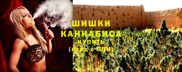 Альфа ПВП Осинники