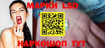 эйфоретик Донской