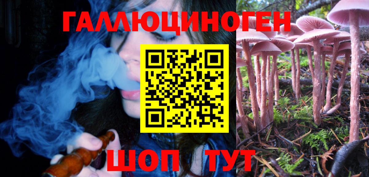 Галлюциногенные грибы Psilocybine cubensis Кунгур