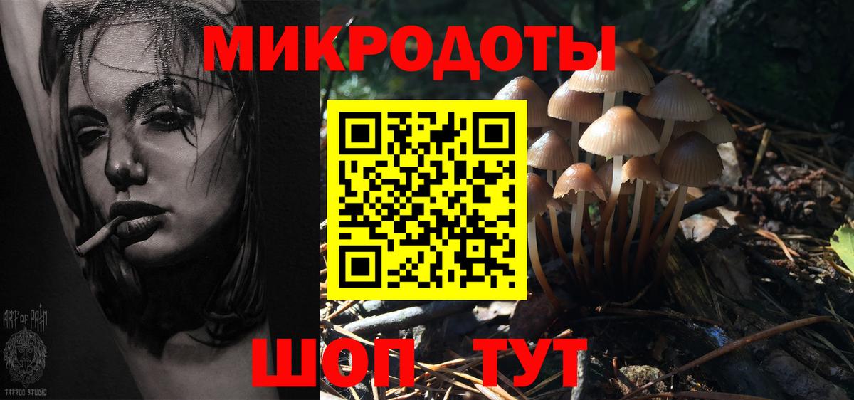 Кунгур  Галлюциногенные грибы прущие грибы  Вход с VPN  Псилоцибиновые грибы Psilocybe 