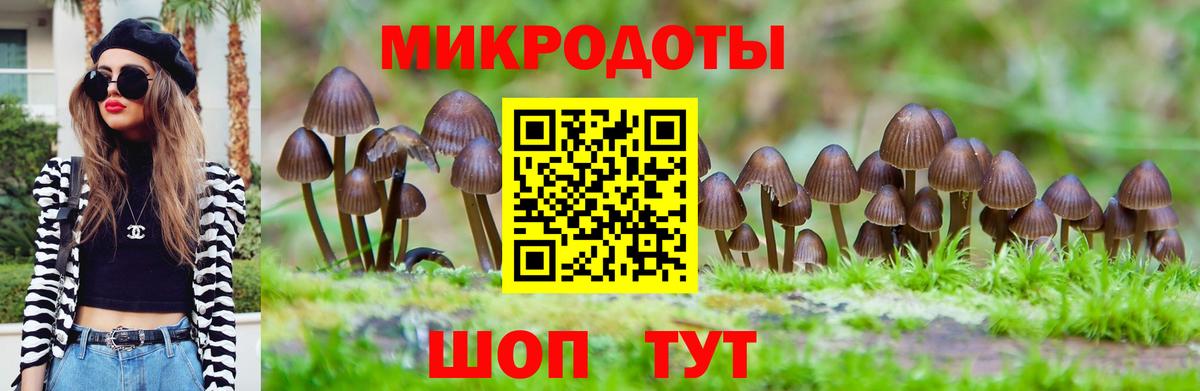 Галлюциногенные грибы ЛСД  Кунгур  Галлюциногенные грибы Psilocybe 