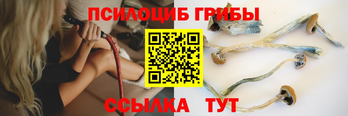 Псилоцибиновые грибы ЛСД Кунгур